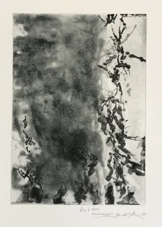 Офорт И Аквитанта Zao - Proustiennes (348)