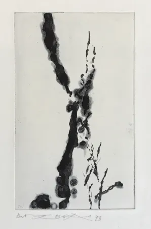 Офорт И Аквитанта Zao - Rompre le cri (374)