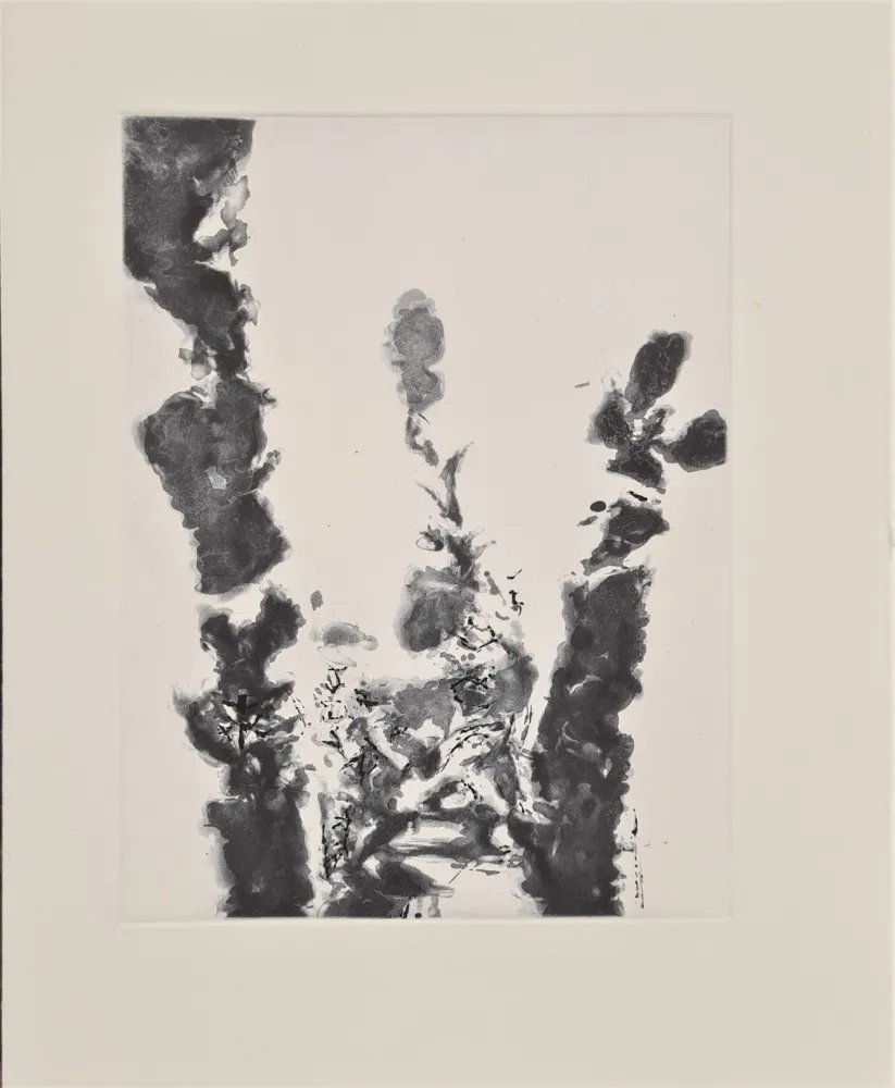 Офорт И Аквитанта Zao - XXIV Sonnets de Shakespeare