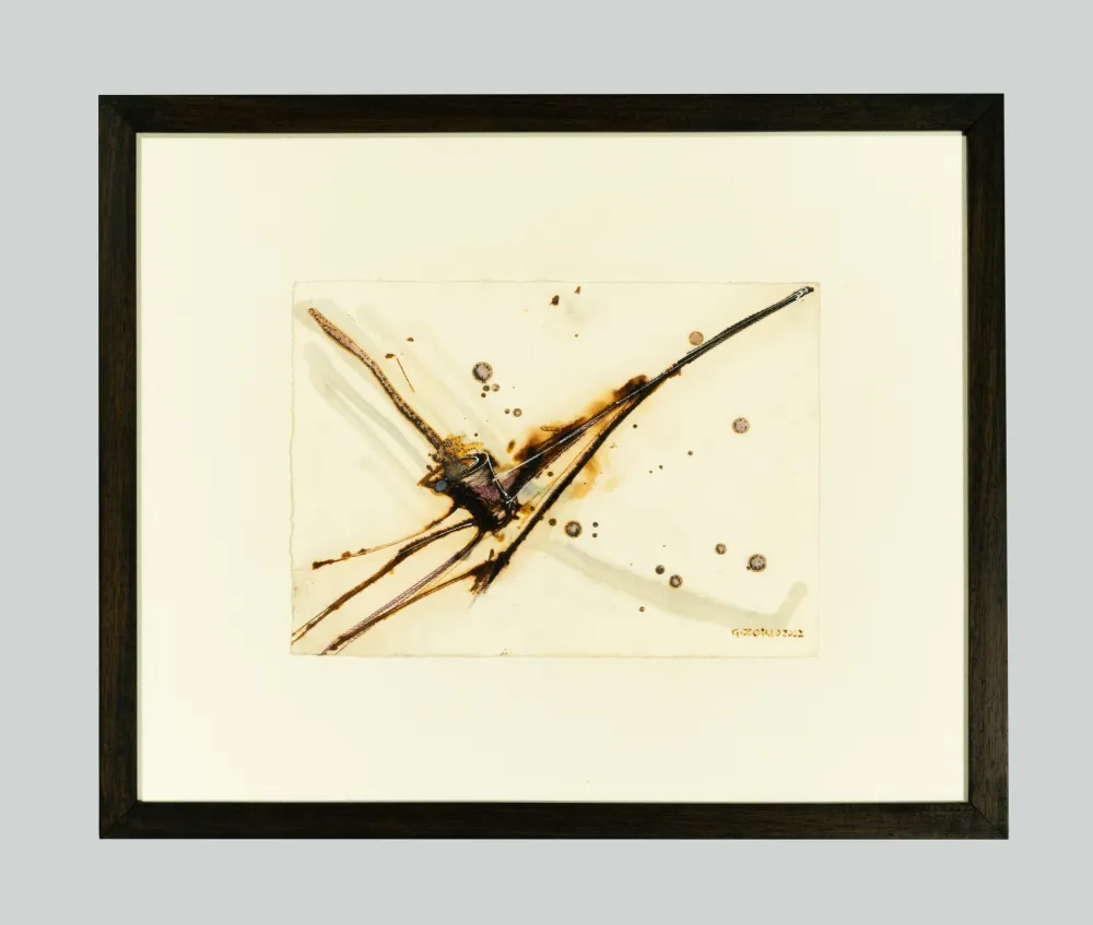 Нет Никаких Технических Zorio - Senza titolo (Canoa)