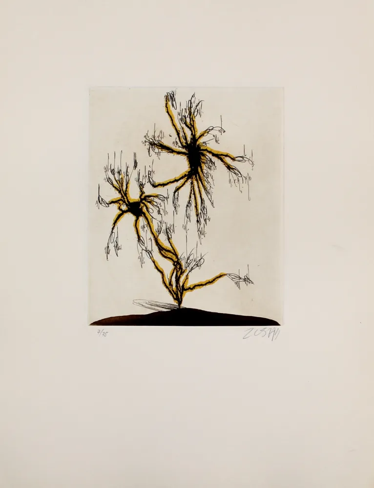 Офорт И Аквитанта Zush - Anzuras