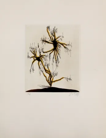 Офорт И Аквитанта Zush - Anzuras