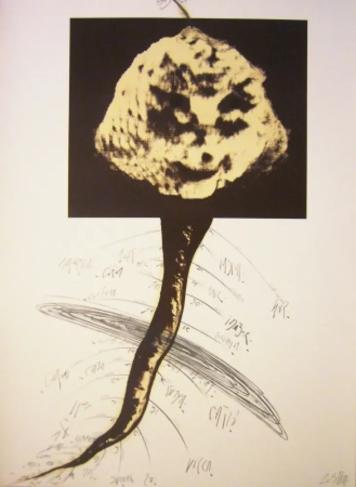 Литография Zush - Sans titre 2