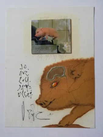 Нет Никаких Технических Zush - Socjomo