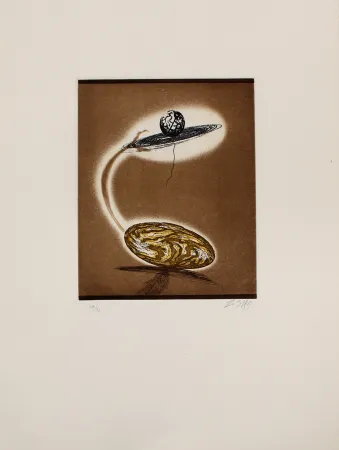 Офорт И Аквитанта Zush - Vloplanet