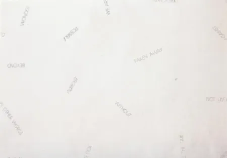 Литография Barry - Sans titre