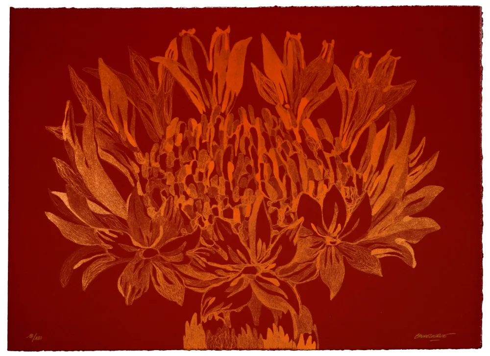 Литография Baudelocque - Lys