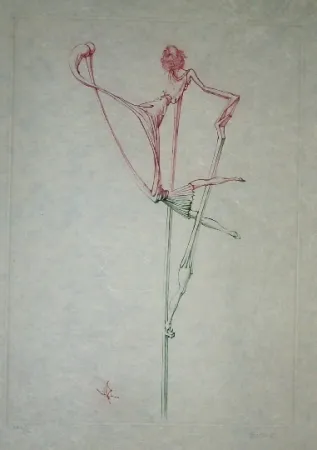 Офорт И Аквитанта Bellmer - Oeillades ciselées 7