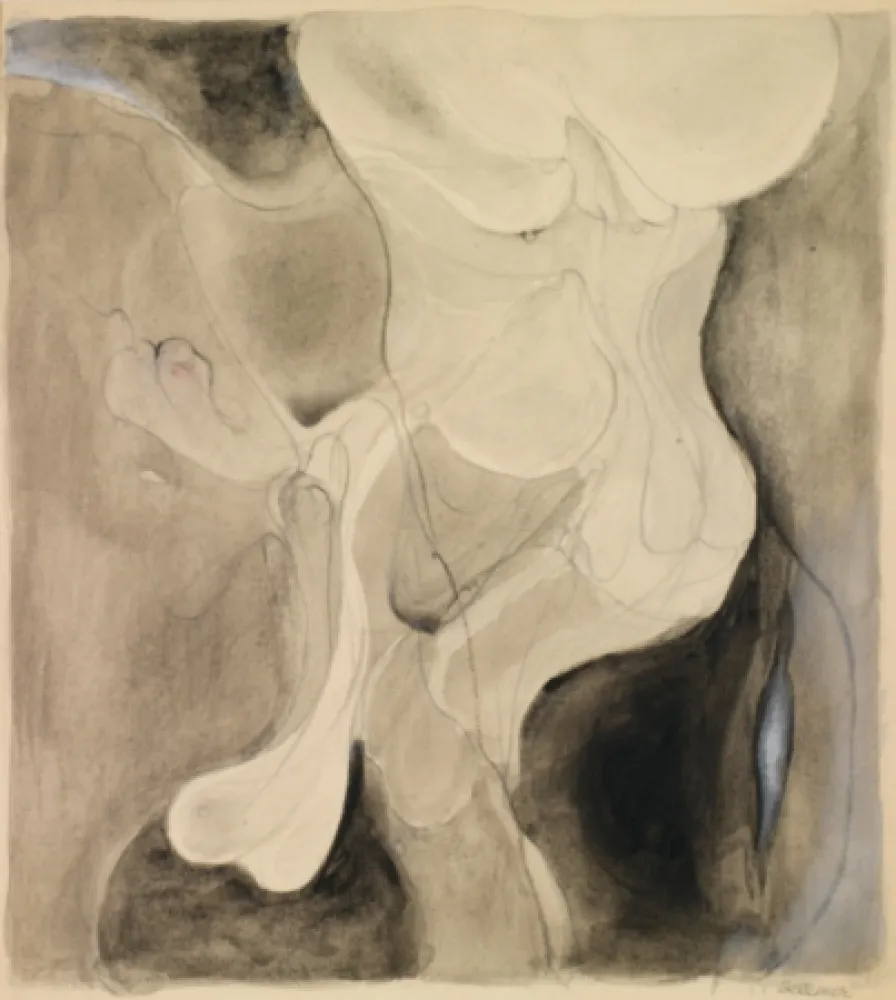 Нет Никаких Технических Bellmer - Sans titre