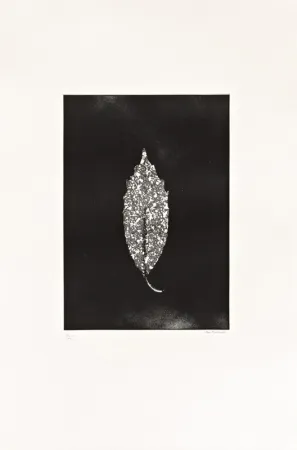 Офорт Couturier - Aucuba