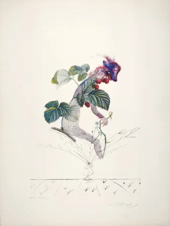 Многоэкземплярное Произведение Dali - Framboisier, 1969-1970 - Hand-signed!