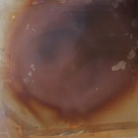 Нет Никаких Технических Deschamps -  Les Nouveaux Realistes