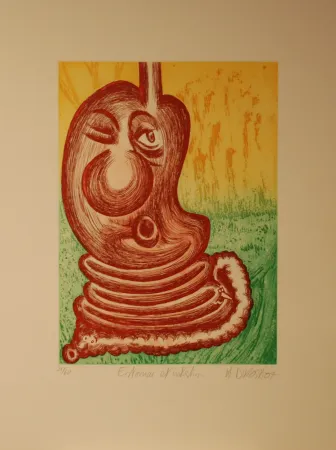 Гравюра Di Rosa - Estomac et Intestin