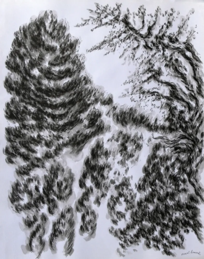 Нет Никаких Технических Dumont - LES / THE ALPILLES