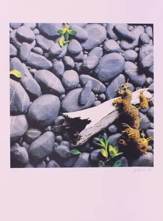 Литография Gilardi - CARTELLA 11, EDIZIONE FUMAGALLI