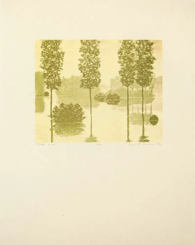 Relief Gornick - Flood Light, from Art Pro-Choice II