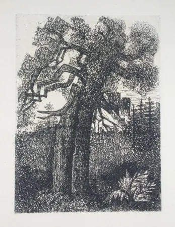 Гравюра Сухой Иглой Gromaire - Le chêne