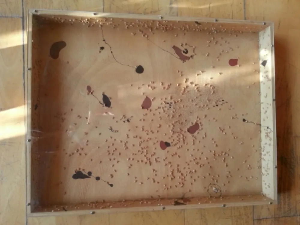 Нет Никаких Технических Guinovart - Blat i coses 8