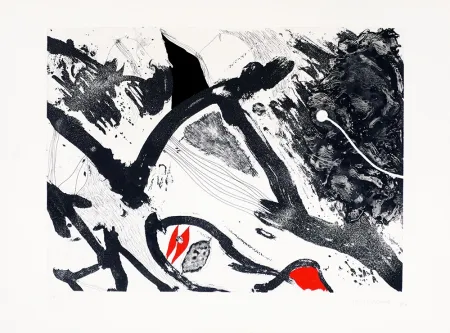 Гравюра Guinovart - Escala en negro