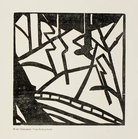 Гравюра На Дереве Heemskerck,  - Sturm-Bilderbuch VII 