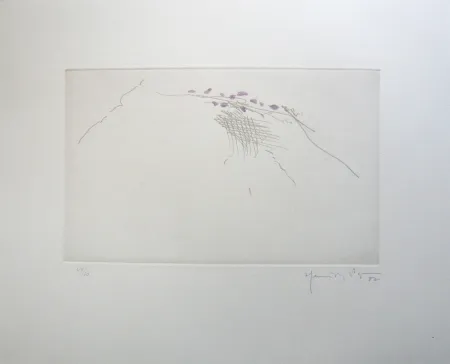 Гравюра Hernandez Pijuan - PJ8