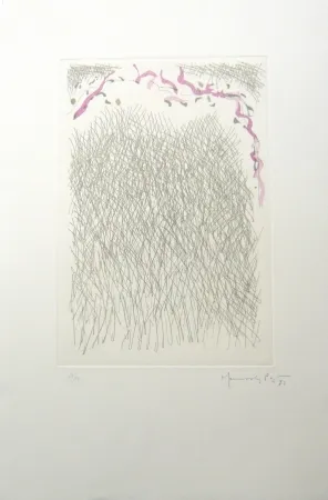 Гравюра Hernandez Pijuan - PL2