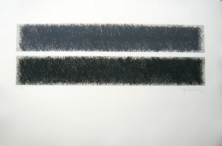 Гравюра Hernandez Pijuan - Polychrome 10