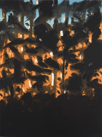 Литография Katz - 