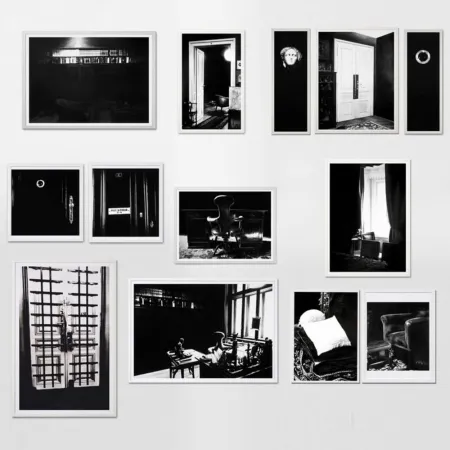 Многоэкземплярное Произведение Longo - The Freud Cycle (portfolio)