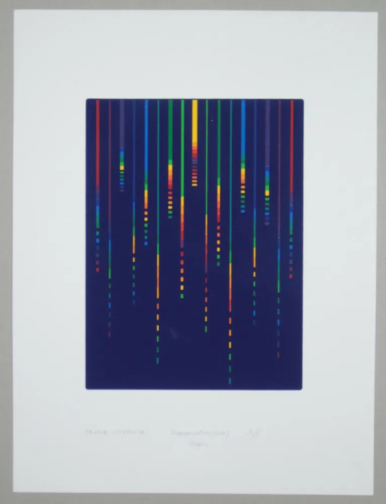 Сериграфия Minoli - Composizione (e)