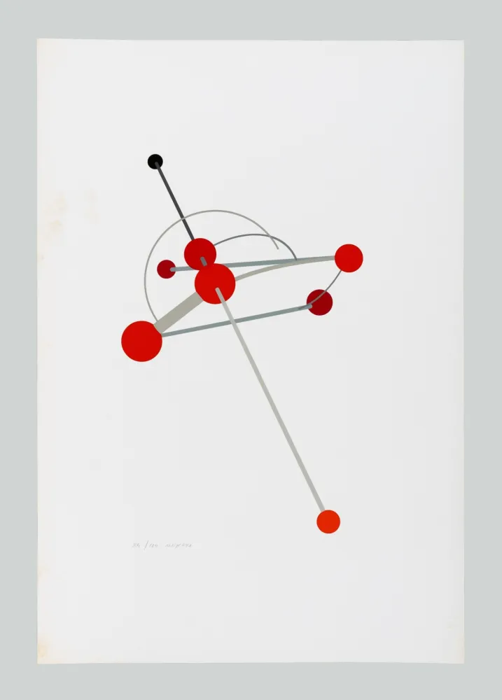 Сериграфия Munari - Macchina aerea