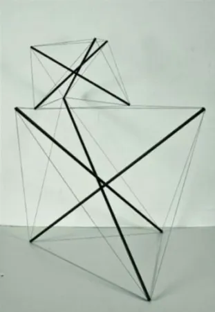 Многоэкземплярное Произведение Munari - Tensostruttura