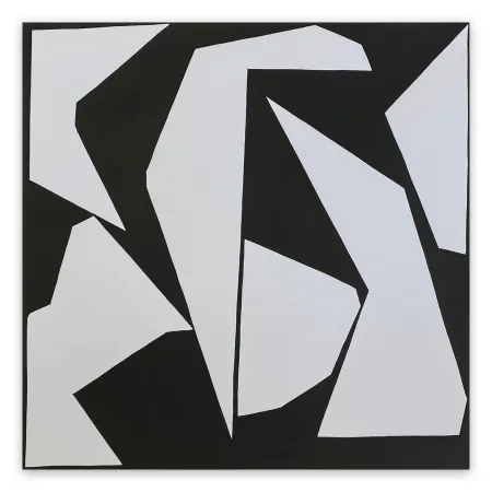 Нет Никаких Технических Pedersen - Cut-Up Paper 2007