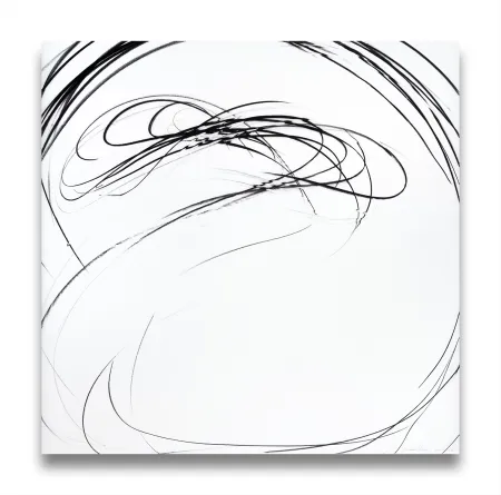 Нет Никаких Технических Peerna - Maelstrom Series 67