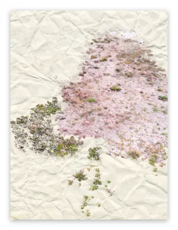 Фотографии Pezzot - I. Anthropological Purity