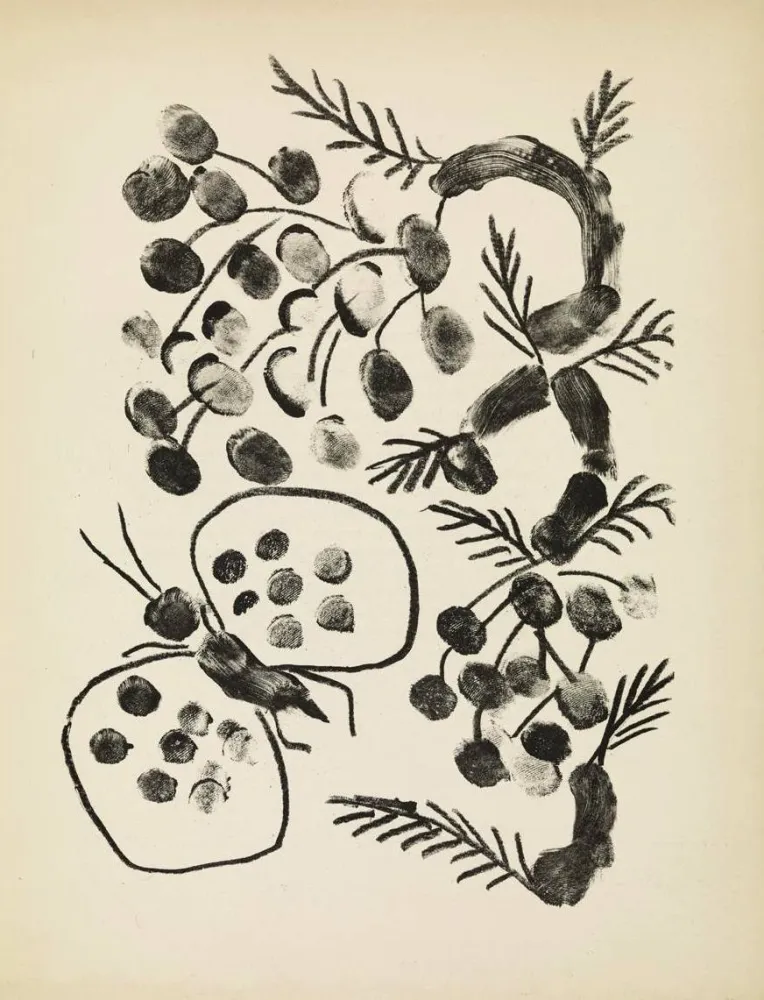 Литография Picasso - De mémoir d'homme, Planche VIII