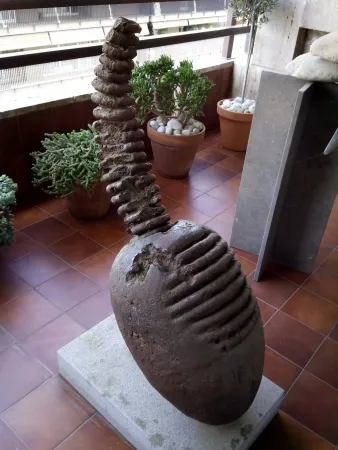 Нет Никаких Технических Plensa - Cap - Teté