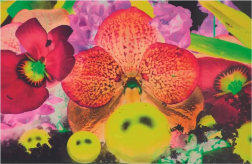 Многоэкземплярное Произведение Quinn - Sepas Mous