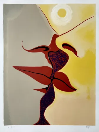 Литография Ray -  Image à deux faces