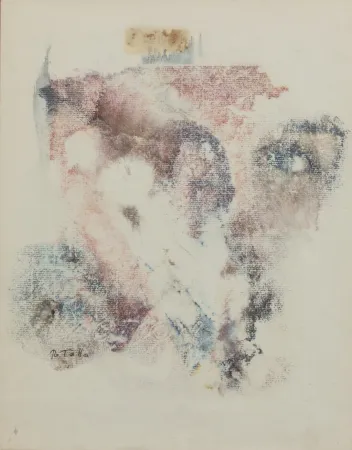 Нет Никаких Технических Rotella - SENZA TITOLO