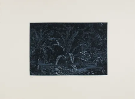 Офорт Roy-Camille - Le remplissage des blancs sur la carte