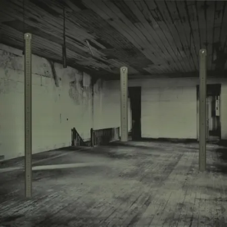 Сериграфия Santibañez - ST 1