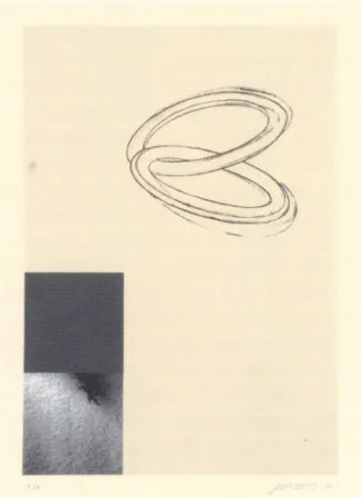 Многоэкземплярное Произведение Santibañez - Without title-6