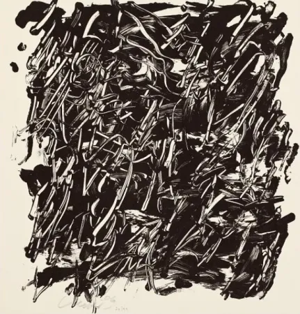 Многоэкземплярное Произведение Uecker - Hiob Seite 25