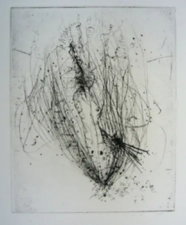 Гравюра Wols - Akblute