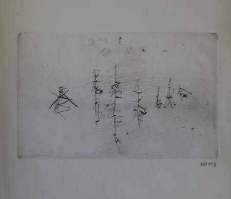 Иллюстрированная Книга Wols - L'invité des morts